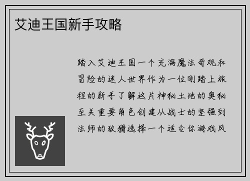 艾迪王国新手攻略